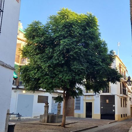 Terraza De La Axerquia Apartment Cordoba Exterior photo