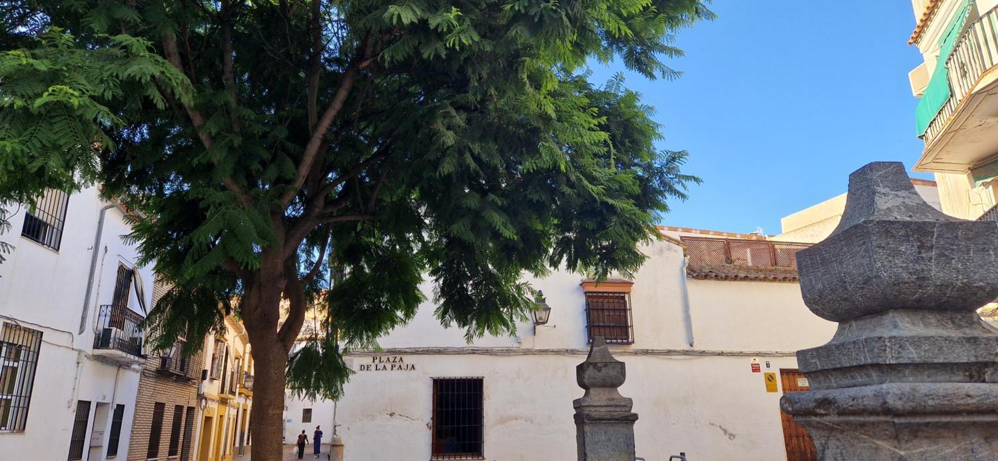 Terraza De La Axerquia Apartment Cordoba Exterior photo